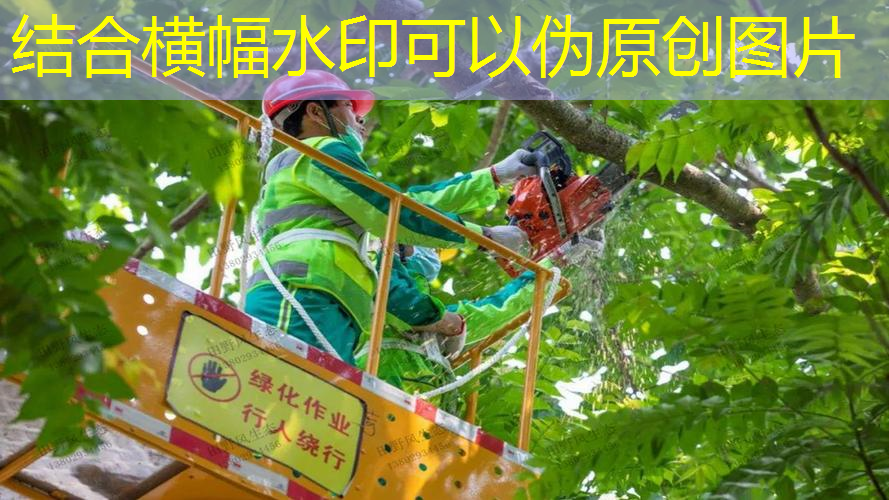 如何穿網(wǎng)球拍上的收縮線