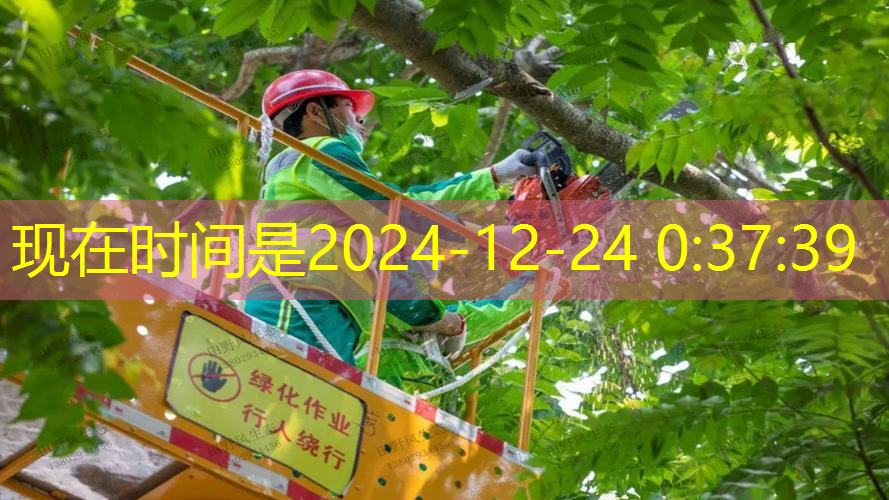 怎樣拿網(wǎng)球拍在家鍛煉