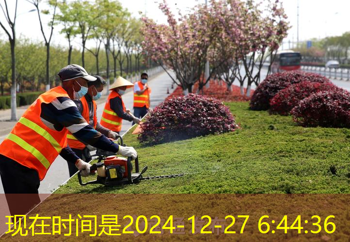 兩只網(wǎng)球拍怎么配好看