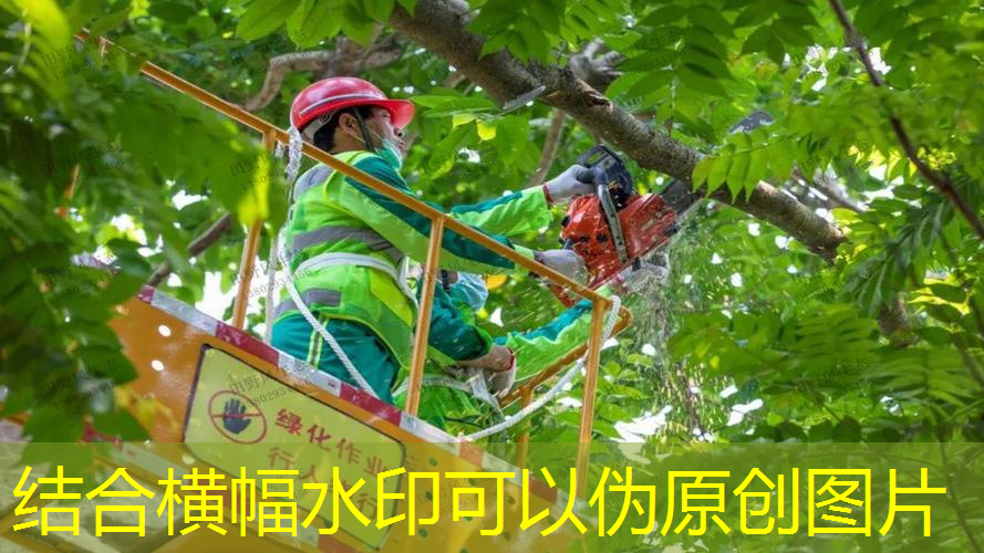 網(wǎng)球拍塑料調(diào)酒棒好用嗎_