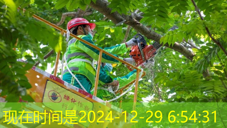 打網(wǎng)球拍子沒(méi)聲音