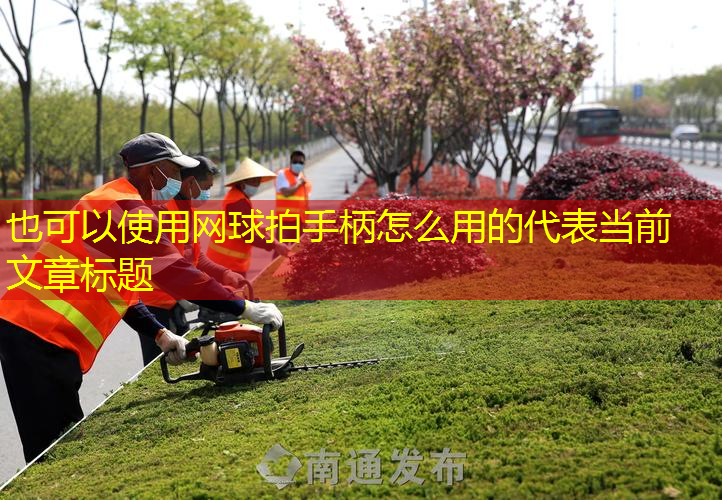網(wǎng)球拍手柄怎么用的