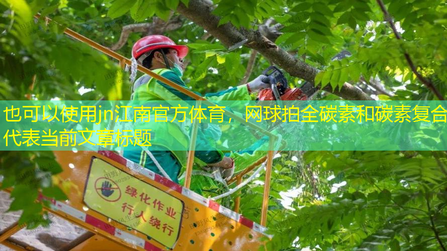 網(wǎng)球拍全碳素和碳素復合
