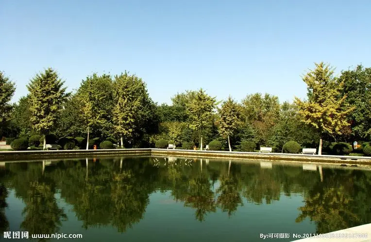 兒童網(wǎng)球拍26寸尺寸參數(shù)