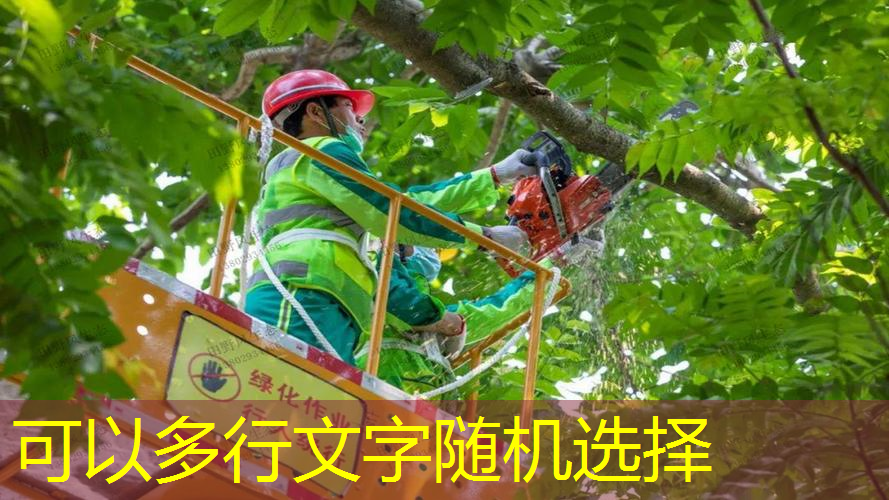 網(wǎng)球拍底部八個(gè)面圖解