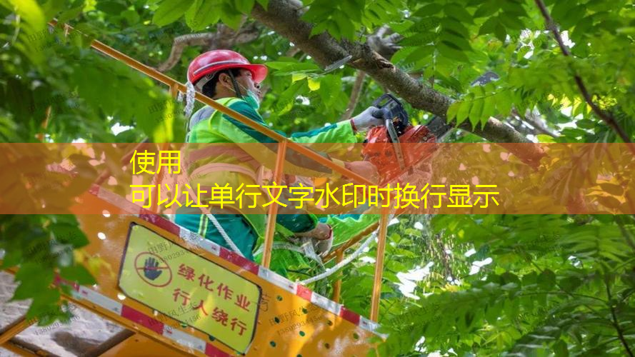 費(fèi)德勒網(wǎng)球拍專業(yè)介紹