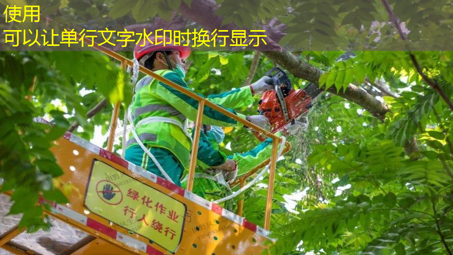 開箱網(wǎng)球拍單人訓(xùn)練器材