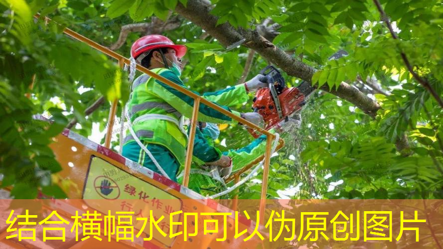煙臺(tái)網(wǎng)球拍平價(jià)面膜
