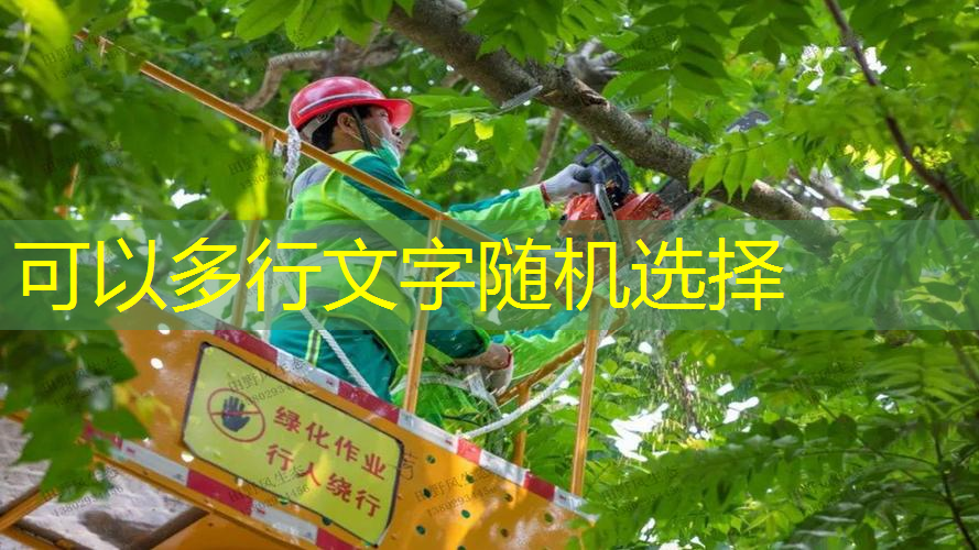 網(wǎng)球拍立起引拍的好處