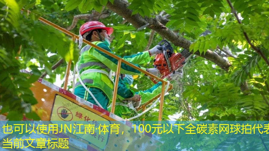 100元以下全碳素網(wǎng)球拍