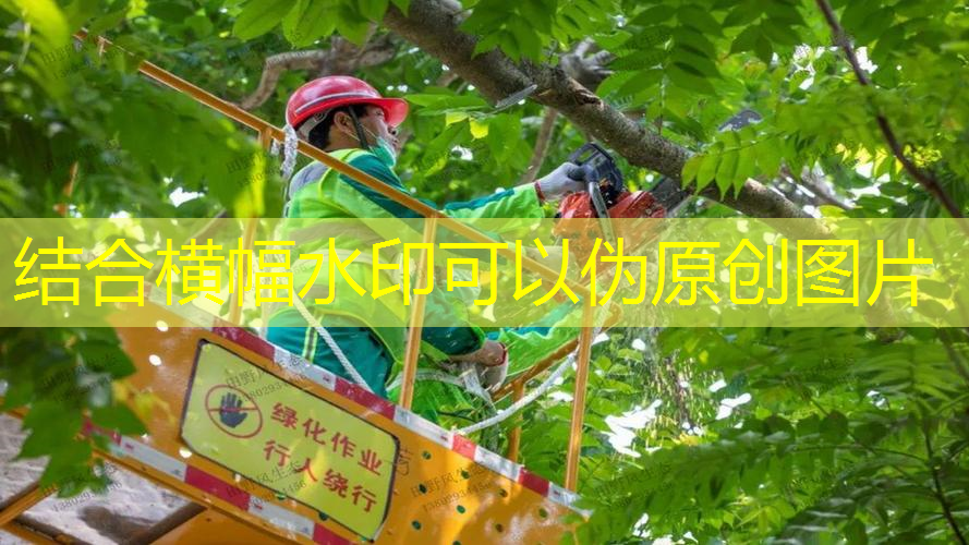 費(fèi)德勒網(wǎng)球拍線的特點(diǎn)