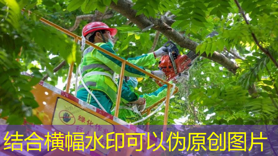 拿什么包裝網(wǎng)球拍最好呢