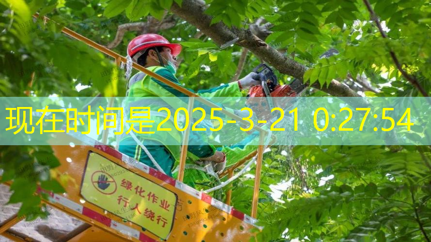 網(wǎng)球拍在胸前怎么放置的