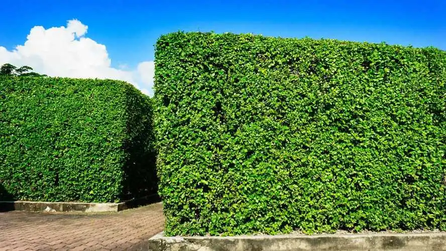 百保力網(wǎng)球拍型號介紹