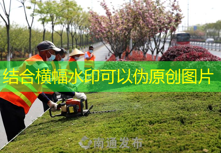 尤尼克斯網(wǎng)球拍手兒歌
