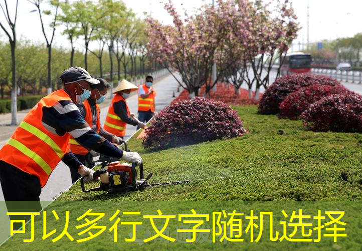 小黑拍網(wǎng)球拍多重比較好