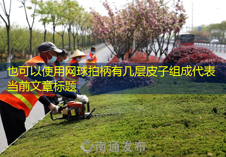 網(wǎng)球拍柄有幾層皮子組成
