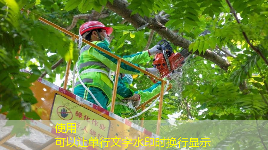 新手用什么專業(yè)網(wǎng)球拍好