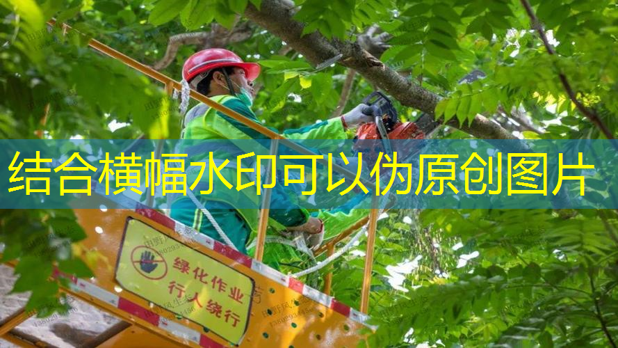 大黃蜂網(wǎng)球拍價格多少元
