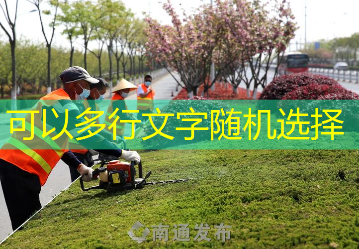 輕巧網(wǎng)球拍單人訓(xùn)練器材