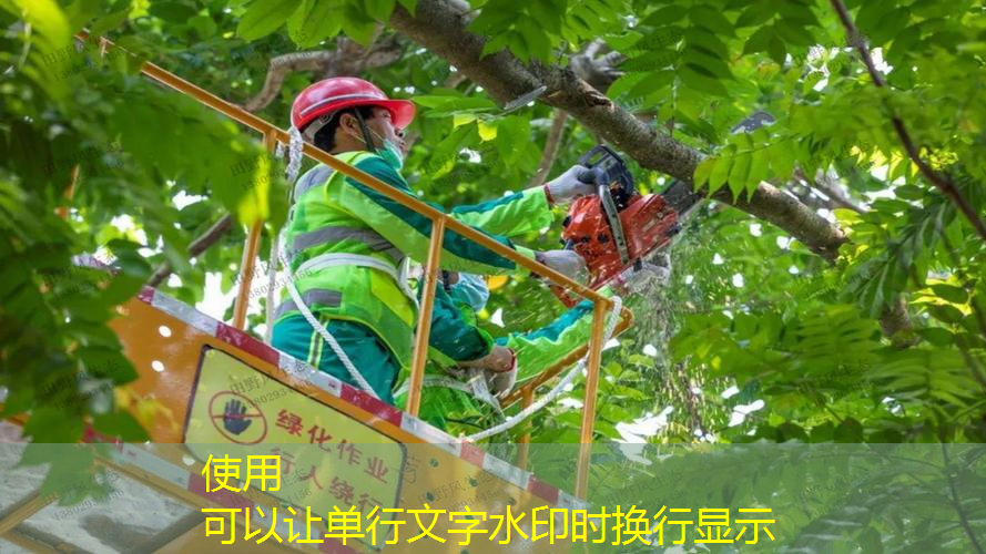 專業(yè)介紹網(wǎng)球拍的書籍有哪些