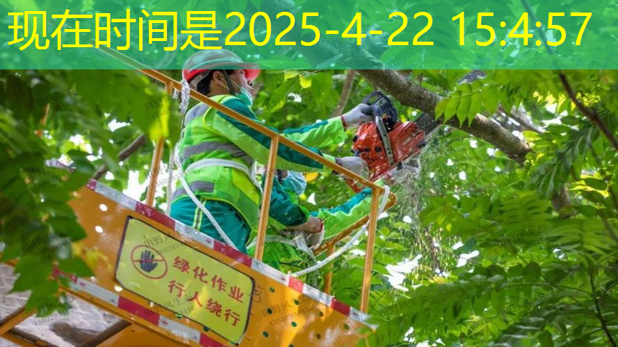 裝網(wǎng)球拍的袋子怎么背好看